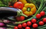 V-Label_Vegan_zelenina