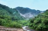 Rainforest Alliance 2020_Bureau Veritas Slovakia