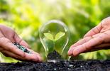 ISO zverejňuje návrh novej normy ISO 14001:2026