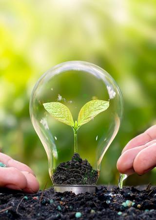 ISO zverejňuje návrh novej normy ISO 14001:2026