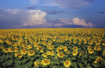 POĽNOHOSPODÁRSKE INŠPEKCIE